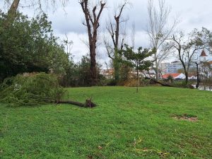 Veja como ficou o Mouchão e a zona desportiva tempestade mouchao 20260129 145029