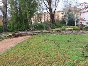 Veja como ficou o Mouchão e a zona desportiva tempestade mouchao 20260129 145549