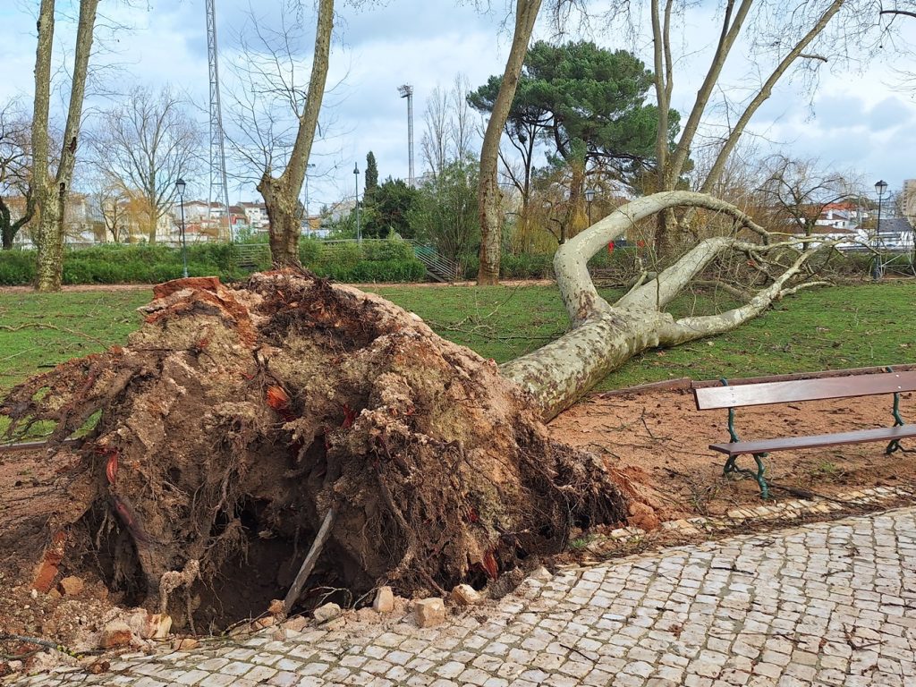 Veja como ficou o Mouchão e a zona desportiva tempestade mouchao 20260129 145739