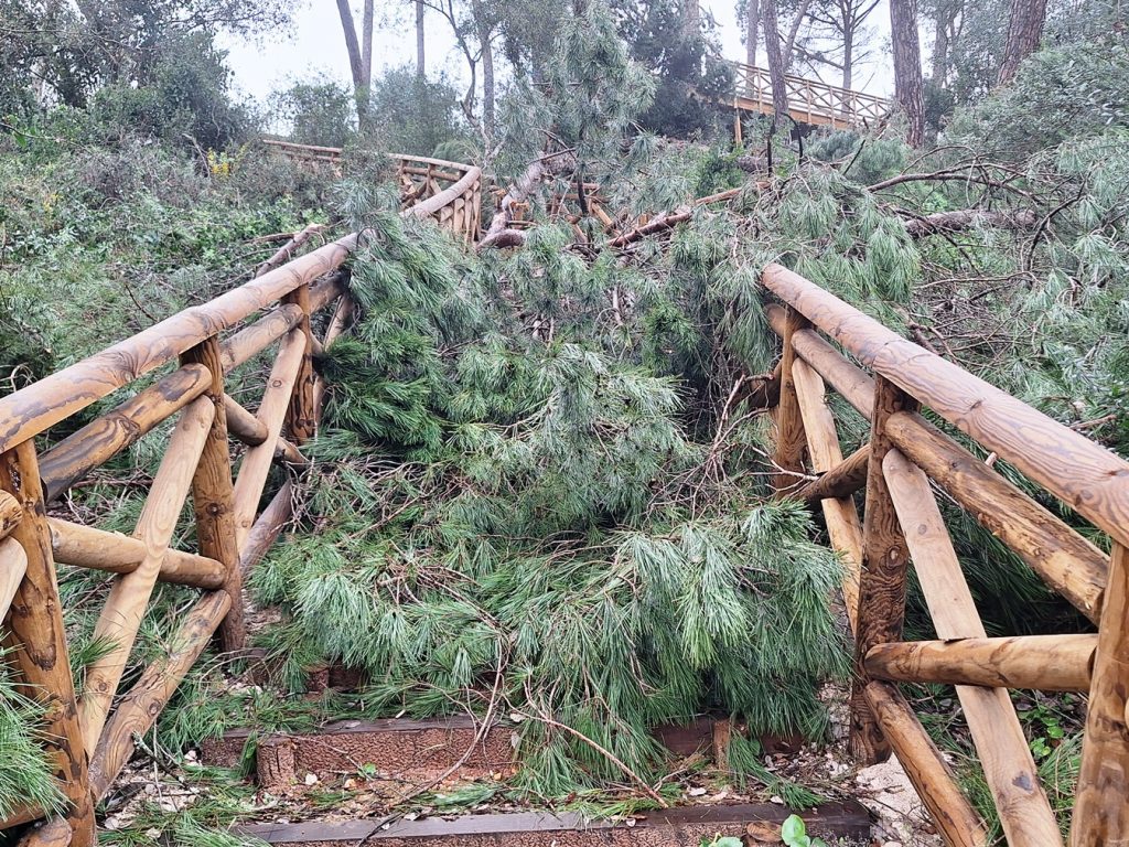 tempestade pinhal santa barbara 20260215 111007