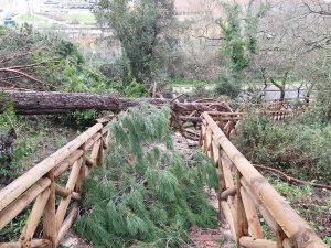 tempestade pinhal santa barbara 20260215 111242