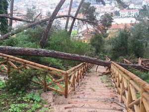 tempestade pinhal santa barbara 20260215 111331