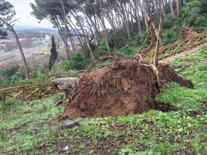 tempestade pinhal santa barbara 20260215 111354