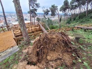 tempestade pinhal santa barbara 20260215 111417