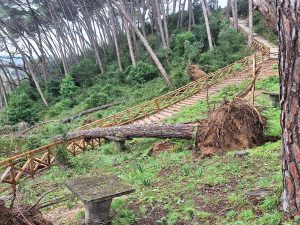 tempestade pinhal santa barbara 20260215 111434