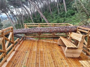 tempestade pinhal santa barbara 20260215 111452
