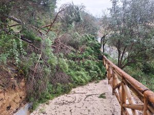 tempestade pinhal santa barbara 20260215 111800