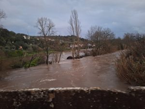 Rio Nabão transborda em algumas zonas tempestade prado 20260211 182401