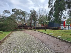 Veja como ficou o Mouchão e a zona desportiva tempestade zona desportiva20260129 150518