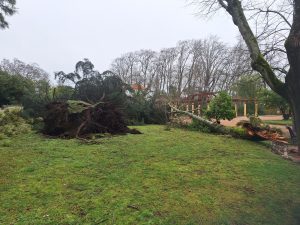 Veja como ficou o Mouchão e a zona desportiva tempestade20260201 111745