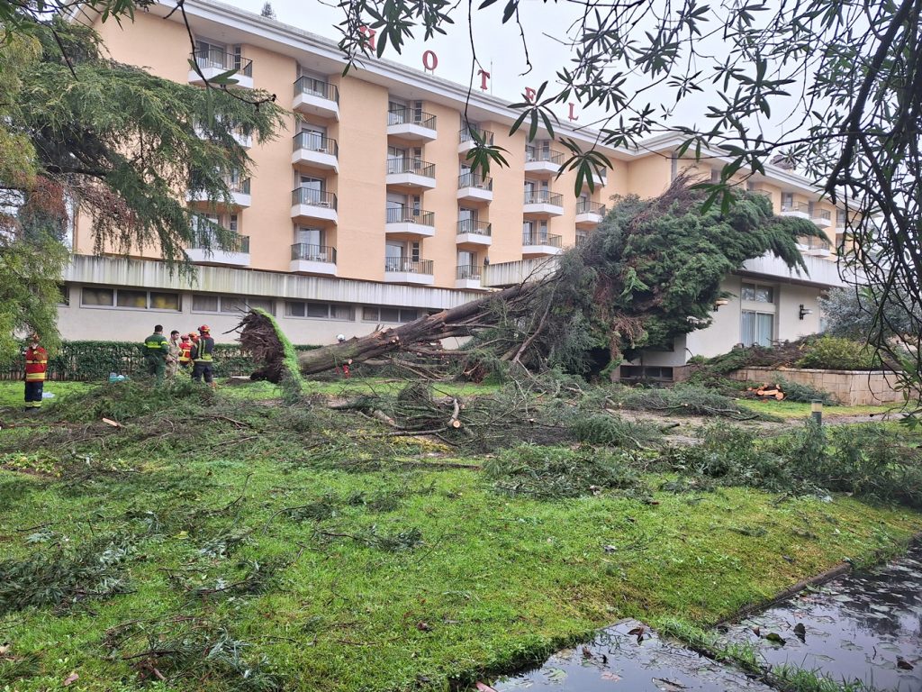 Sofreu prejuízos nas tempestades? Saiba como pedir apoios varzea pequena hotel tempestade 20260201 111703