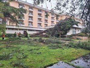 Veja como ficou o Mouchão e a zona desportiva varzea pequena hotel tempestade 20260201 111703