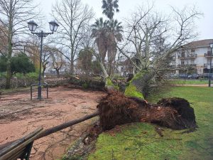 Veja como ficou o Mouchão e a zona desportiva varzea pequena tempestade20260201 111921