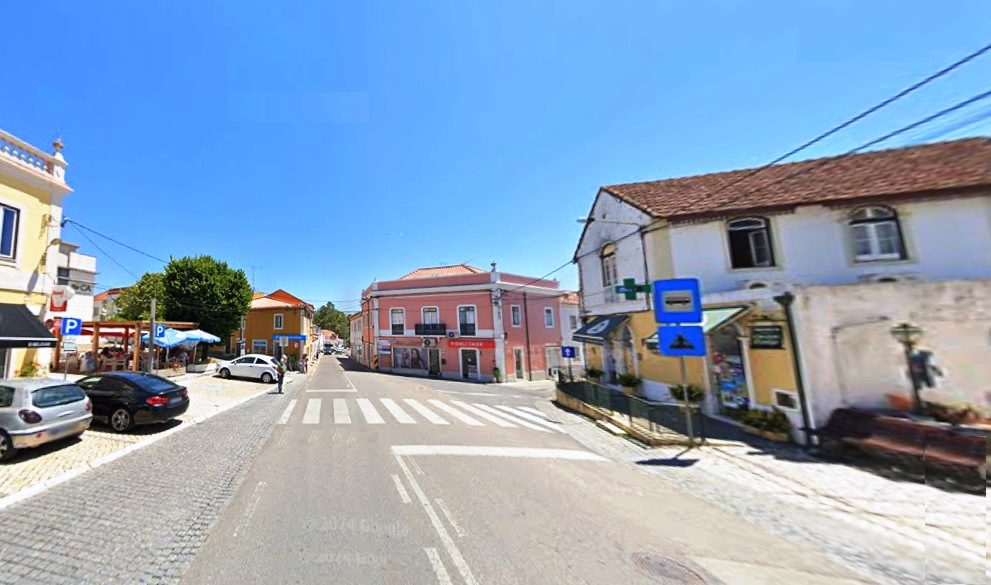 Caiu e morreu quando passeava o seu cão Riachos