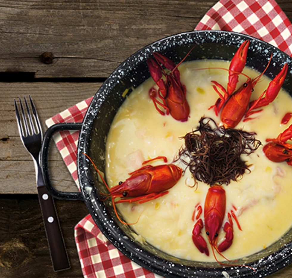 Ferreira do Zêzere e Barquinha: Festivais gastronómicos inspirados no rio