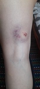 violencia domestica022685327387515 3790518754654751384 n