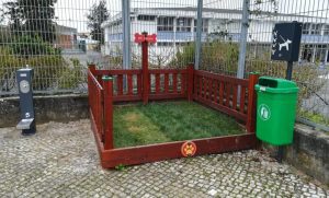 WC canino foi desmantelado wc canino caes IMG 20200114 112713 780x470 1