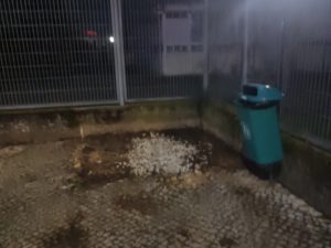 WC canino foi desmantelado wc canino unnamed