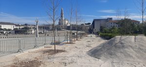 Quaresma de 2026, Fátima. Depois da tempestade, a reconstrução. FATIMA 1