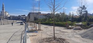 Quaresma de 2026, Fátima. Depois da tempestade, a reconstrução. FATIMA 2