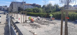 Quaresma de 2026, Fátima. Depois da tempestade, a reconstrução. FATIMA 3