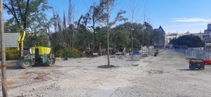 Quaresma de 2026, Fátima. Depois da tempestade, a reconstrução. FATIMA 5