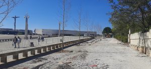 Quaresma de 2026, Fátima. Depois da tempestade, a reconstrução. FATIMA 6