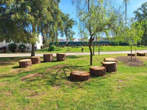 Na natureza nada se perde… arvores 20260405 110909