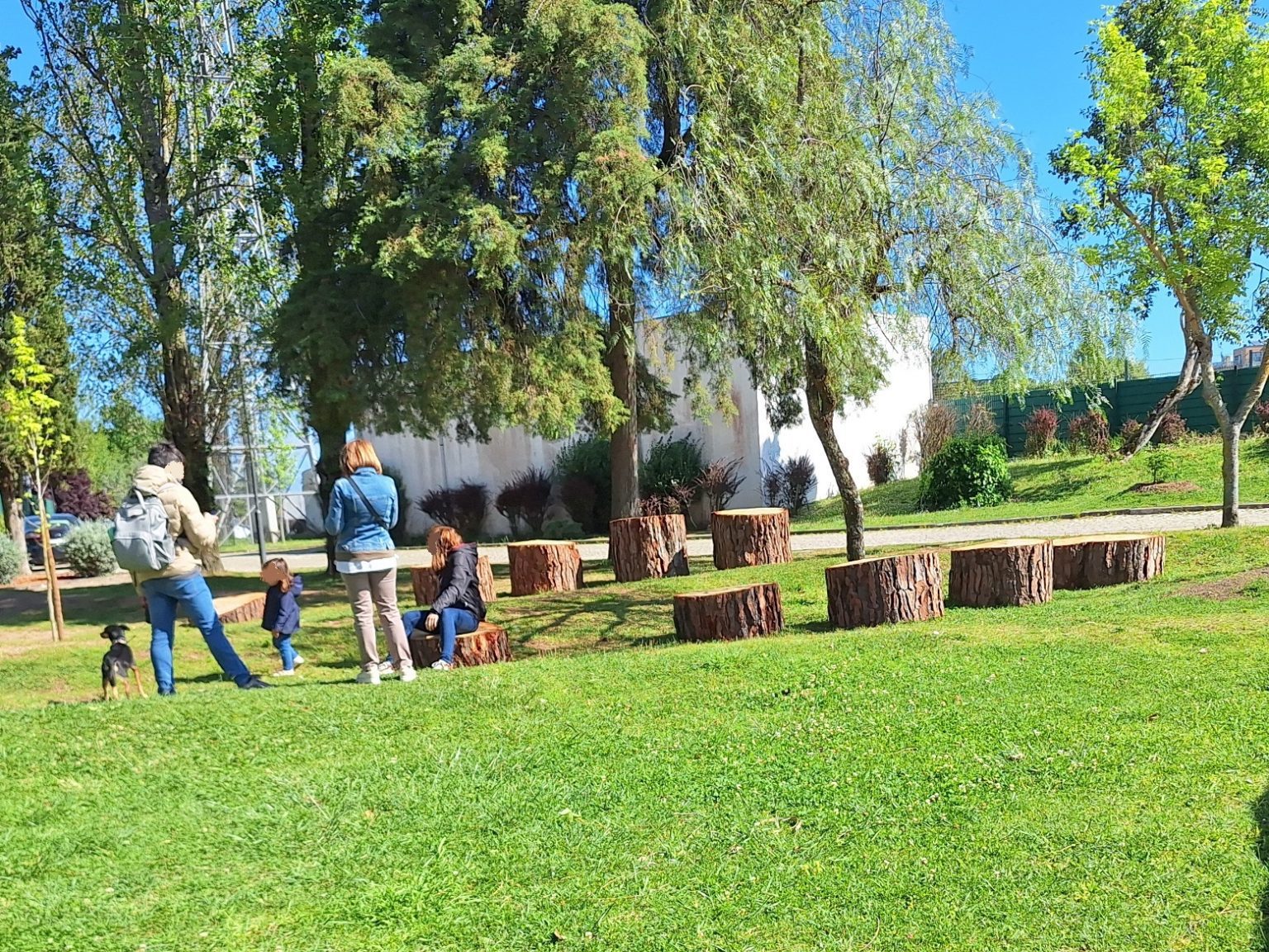 Na natureza nada se perde… arvores 20260412 110053