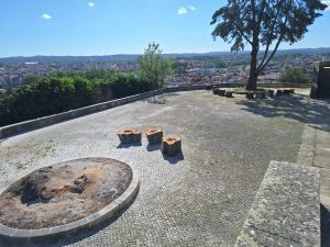 Na natureza nada se perde… arvores ermida 20260412 102640