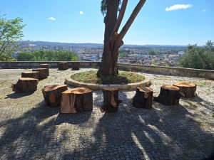 Na natureza nada se perde… arvores ermida 20260412 102658