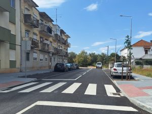 Rua José Tamagnini: das nove árvores plantadas, cinco secaram arvores jose tamagnini 20260428 152340
