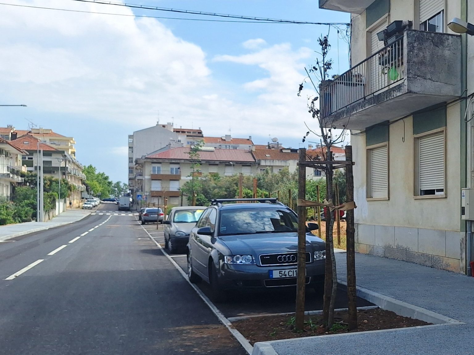 Rua José Tamagnini: das nove árvores plantadas, cinco secaram arvores jose tamagnini 20260428 152344