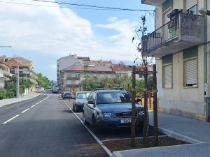 Rua José Tamagnini: das nove árvores plantadas, cinco secaram arvores jose tamagnini 20260428 152344