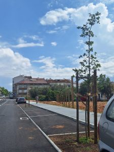 Rua José Tamagnini: das nove árvores plantadas, cinco secaram arvores jose tamagnini 20260428 152349