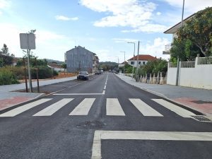 Rua José Tamagnini: das nove árvores plantadas, cinco secaram arvores jose tamagnini 20260428 172801