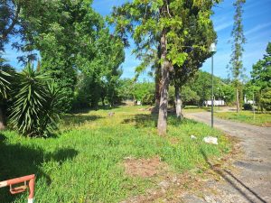 parque caravanismo campismo 20260419 102821