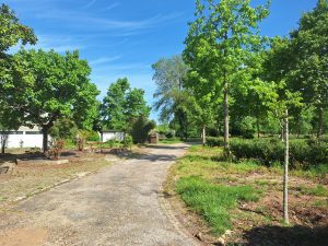 parque caravanismo campismo 20260419 102918