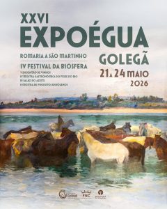 Sugestões para o fim de semana em Tomar e arredores 21 5 1097683819464 2936412766640018270 n
