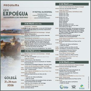 Sugestões para o fim de semana em Tomar e arredores 21 5 98427865857180 573187898462729059 n