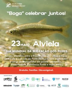 Sugestões para o fim de semana em Tomar e arredores 23 5 1221995340135 5924824020622580722 n