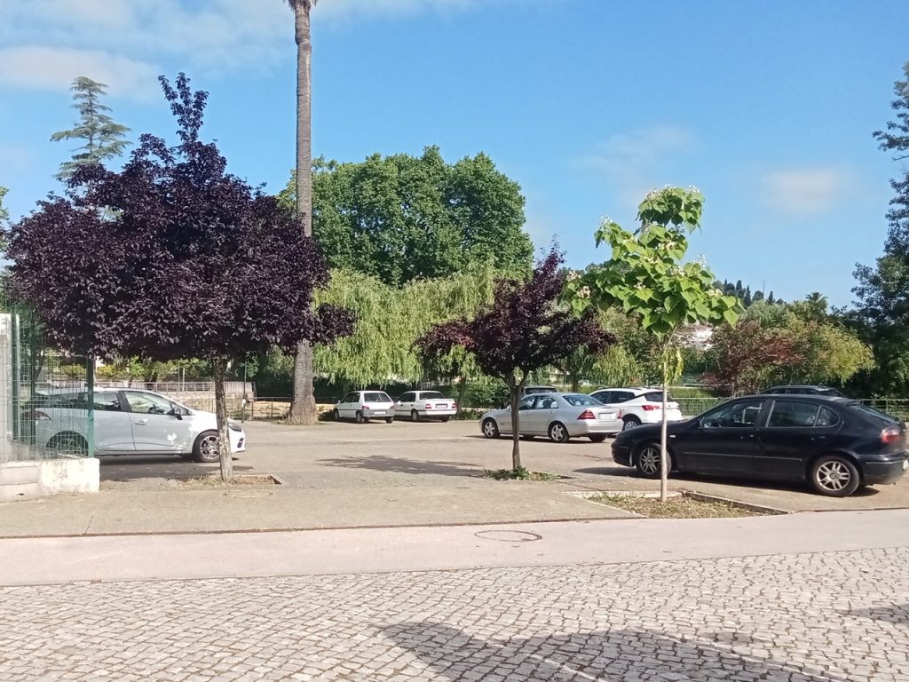PSP implacável e imparável na fiscalização IMG 20260513 094305