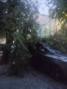 Ramo de árvore cai para cima de automóvel arvore 1532369071804208 5742166735285858703 n