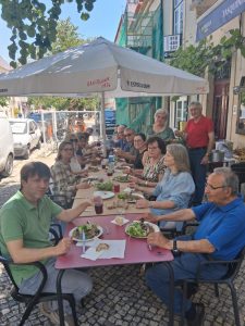 Favas cresceram numa rua de Tomar e já foram servidas à mesa favas IMG 20260525 WA0010