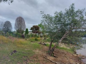 praia fluvial alverangel IIMG 20260503 WA0010
