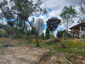 praia fluvial alverangel IIMG 20260503 WA0011