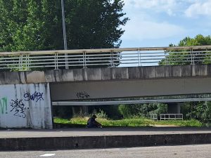 Homem sem-abrigo pernoita debaixo da ponte do Flecheiro sem abrigo 20260526 101253