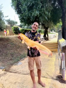 Pescador de Tomar captura Siluro Mandarim no rio Tejo siluro ger creation 75C3F727 3B1E 48A7 88B1 ADD9C54901DA