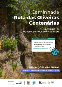 Propostas para o fim de semana em Tomar e arredores 5 6 Cartaz II Caminhada pela Rota das Oliveiras Centenarias