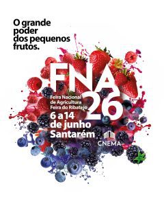 Propostas para o fim de semana em Tomar e arredores 9 6 1484693329874747 2790452440991722286 n 1